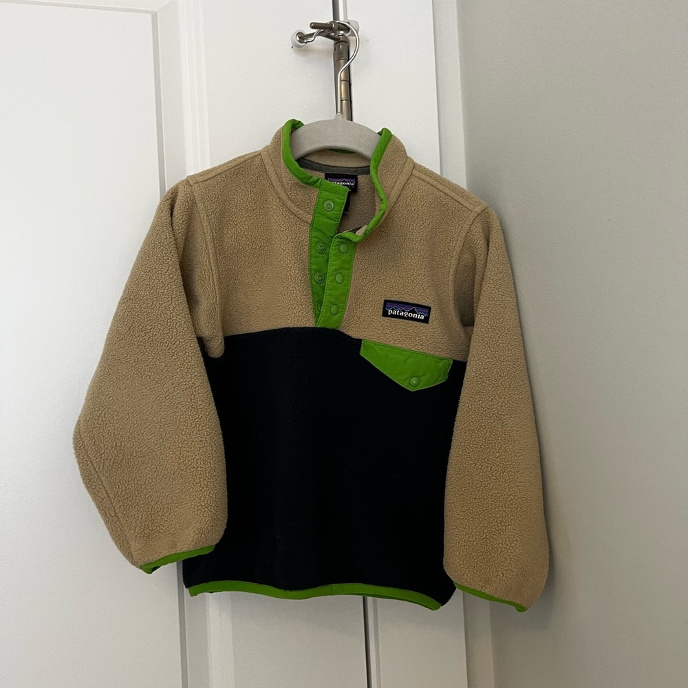 Patagonia Toddler Synchilla Snap-Tee Fleece Pullover (3T)